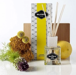 Diffusori di fragranze per casa con bastoncini - Modalyssa Store Elegante diffusore di profumo per ambienti con bastoncini in legno e boccetta di design